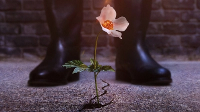 Thế Giới Của Phát Xít (Phần 3) (The Man in the High Castle (Season 3))